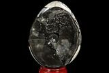Septarian Dragon Egg Geode - Black Crystals #98862-1